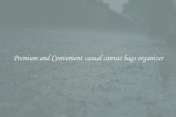 Premium and Convenient casual canvas bags organizer