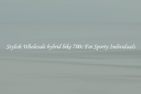 Stylish Wholesale hybrid bike 700c For Sporty Individuals