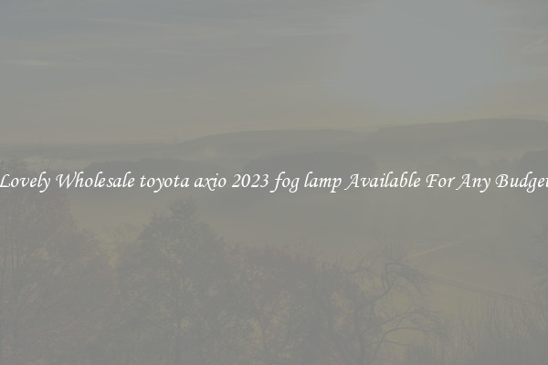 Lovely Wholesale toyota axio 2023 fog lamp Available For Any Budget