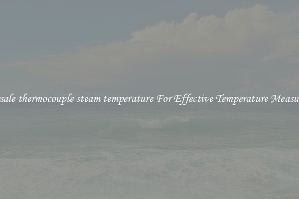 Wholesale thermocouple steam temperature For Effective Temperature Measurement
