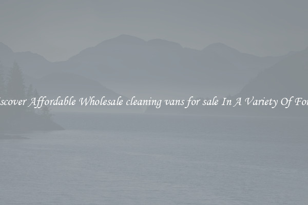 Discover Affordable Wholesale cleaning vans for sale In A Variety Of Forms