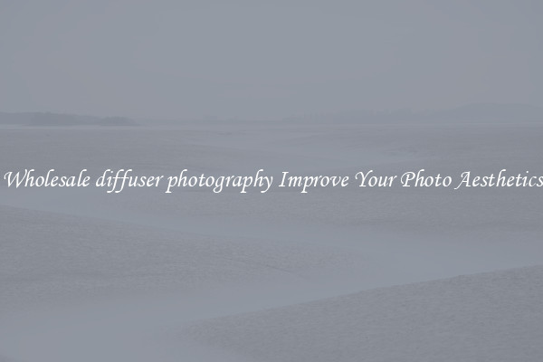 Wholesale diffuser photography Improve Your Photo Aesthetics
