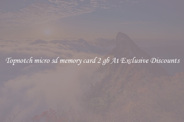 Topnotch micro sd memory card 2 gb At Exclusive Discounts