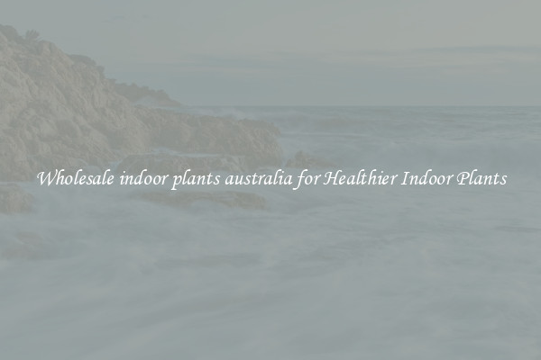 Wholesale indoor plants australia for Healthier Indoor Plants