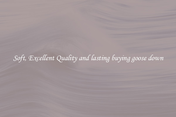 Soft, Excellent Quality and lasting buying goose down
