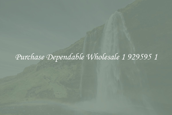 Purchase Dependable Wholesale 1 929595 1