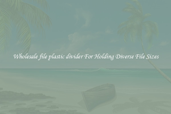 Wholesale file plastic divider For Holding Diverse File Sizes