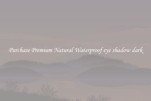 Purchase Premium Natural Waterproof eye shadow dark