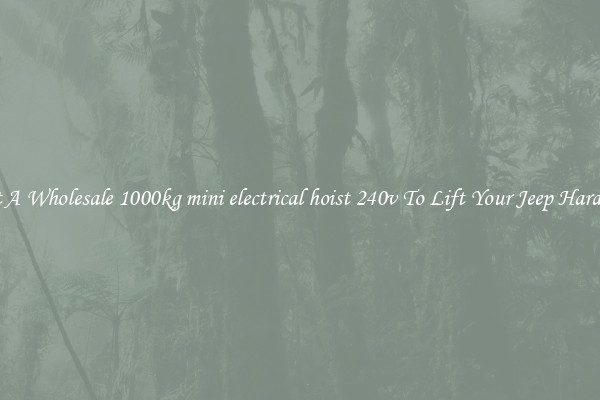 Get A Wholesale 1000kg mini electrical hoist 240v To Lift Your Jeep Hardtop