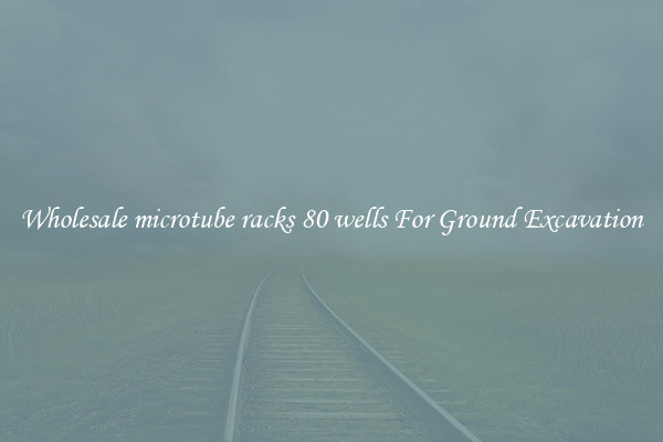 Wholesale microtube racks 80 wells For Ground Excavation
