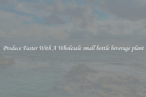 Produce Faster With A Wholesale small bottle beverage plant
