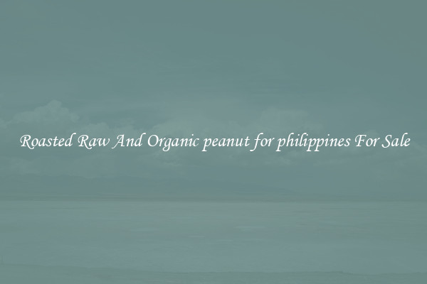 Roasted Raw And Organic peanut for philippines For Sale