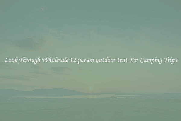 Look Through Wholesale 12 person outdoor tent For Camping Trips