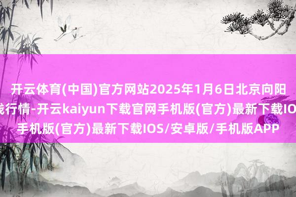 开云体育(中国)官方网站2025年1月6日北京向阳区大洋路轮廓阛阓价钱行情-开云kaiyun下载官网手机版(官方)最新下载IOS/安卓版/手机版APP