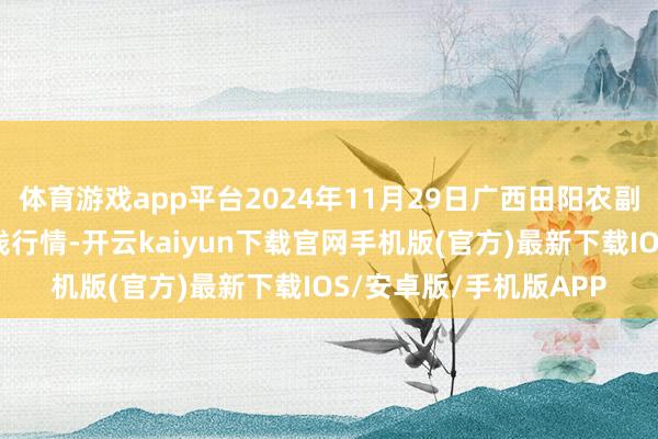 体育游戏app平台2024年11月29日广西田阳农副产物概括批发市集价钱行情-开云kaiyun下载官网手机版(官方)最新下载IOS/安卓版/手机版APP